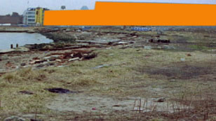 film still - click for larger image