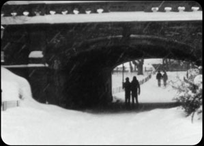 click for larger image