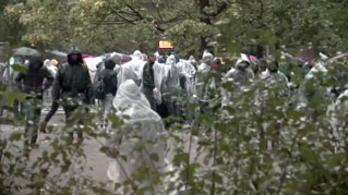 click for larger image